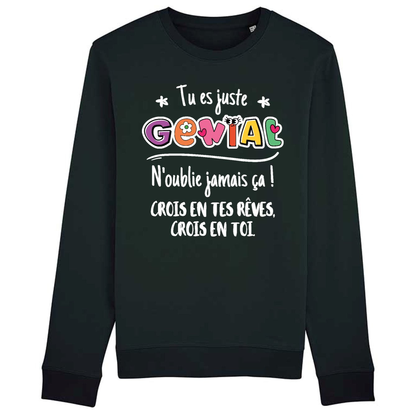 Sweat Adulte Tu es génial crois en tes rêves